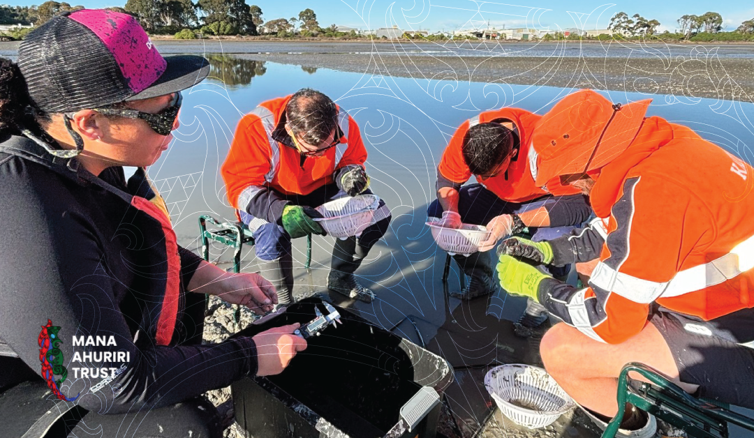 Cultural Monitoring in Te Whanganui-ā-Orotū: What You Need to Know