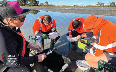 Cultural Monitoring in Te Whanganui-ā-Orotū: What You Need to Know