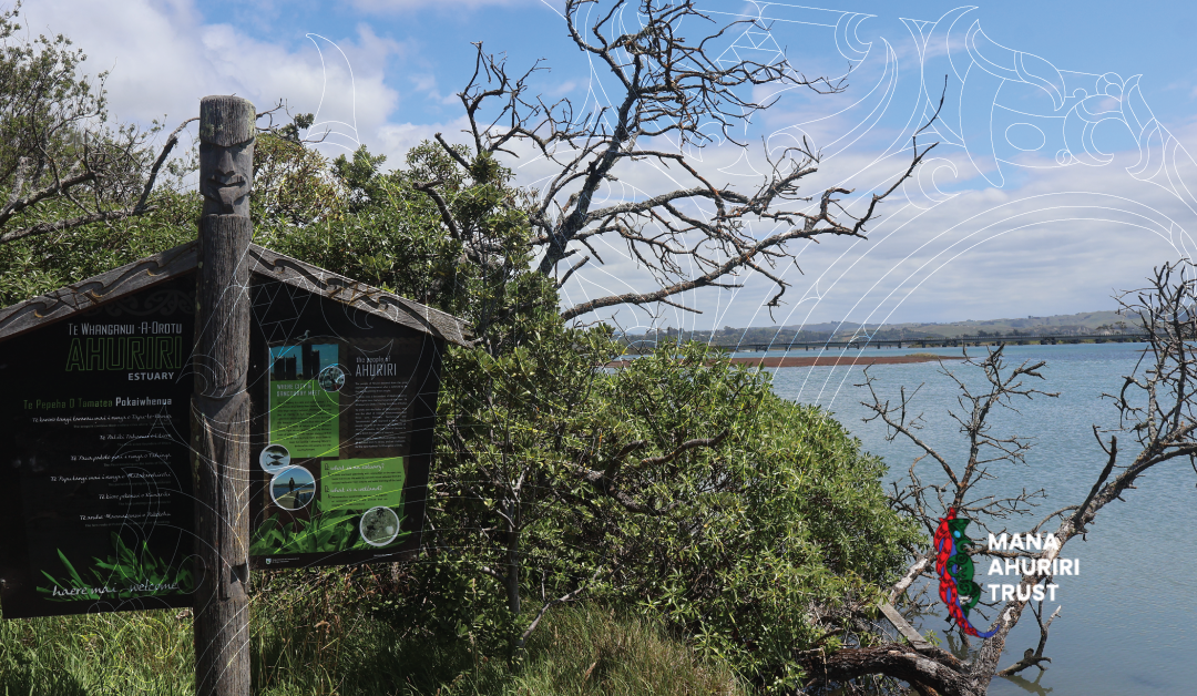 Te Muriwai o te Whanga Official Launch