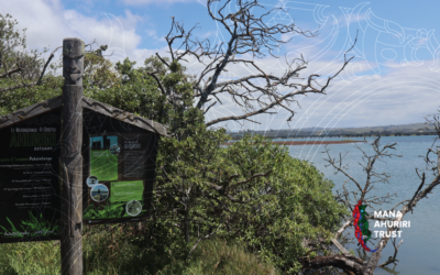 Te Muriwai o te Whanga Official Launch