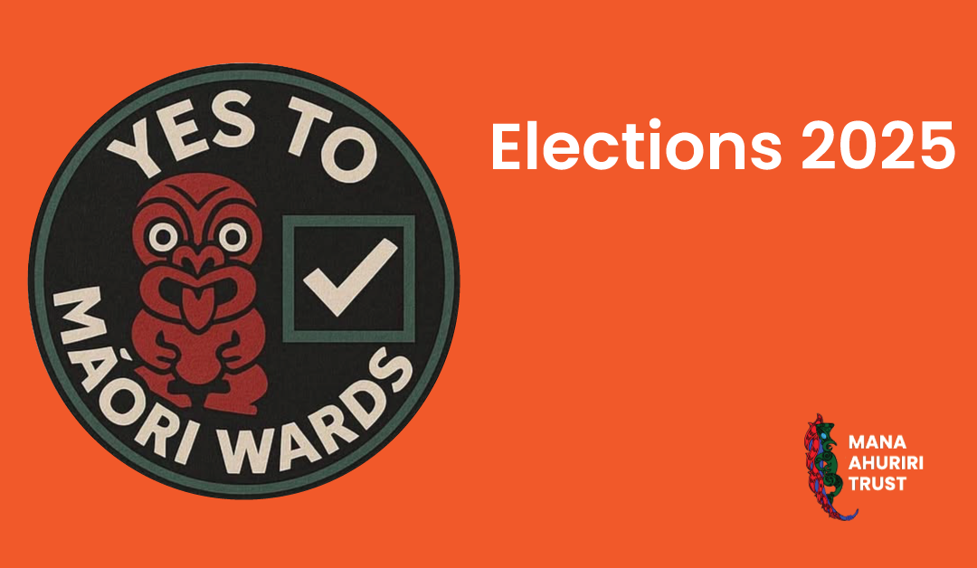 Elections 2025 What you need to know.