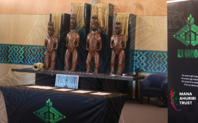 Pou Tuhono – Iwi Navigator Role