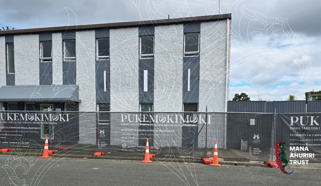 Pukemokimoki Development Reaches Key Milestone as Ground Improvement Phase Begins and Mauri stone to be laid.