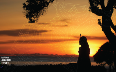 Raumati Safety and Awareness these holidays