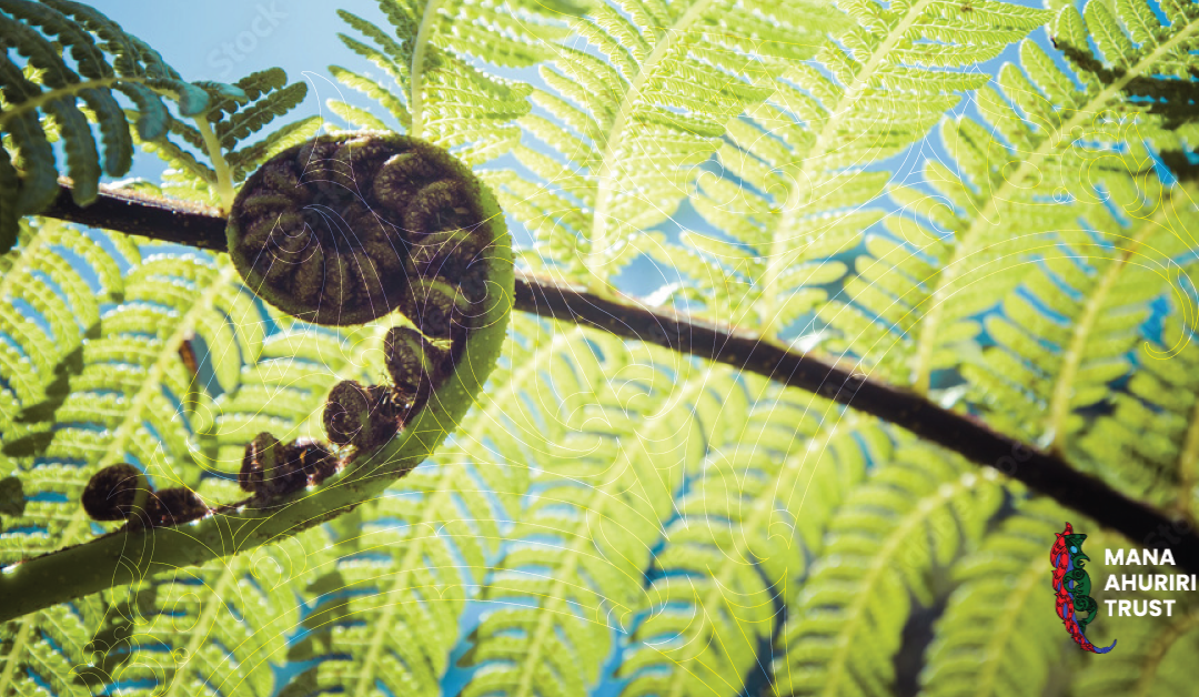 Cultural Report Writer