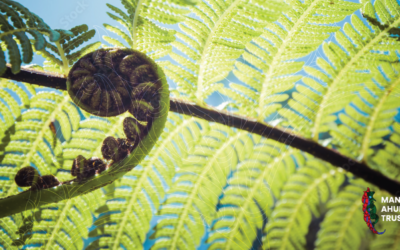 Cultural Report Writer