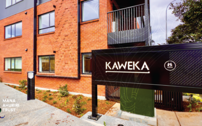 Pukemokimoki Owen Street Development